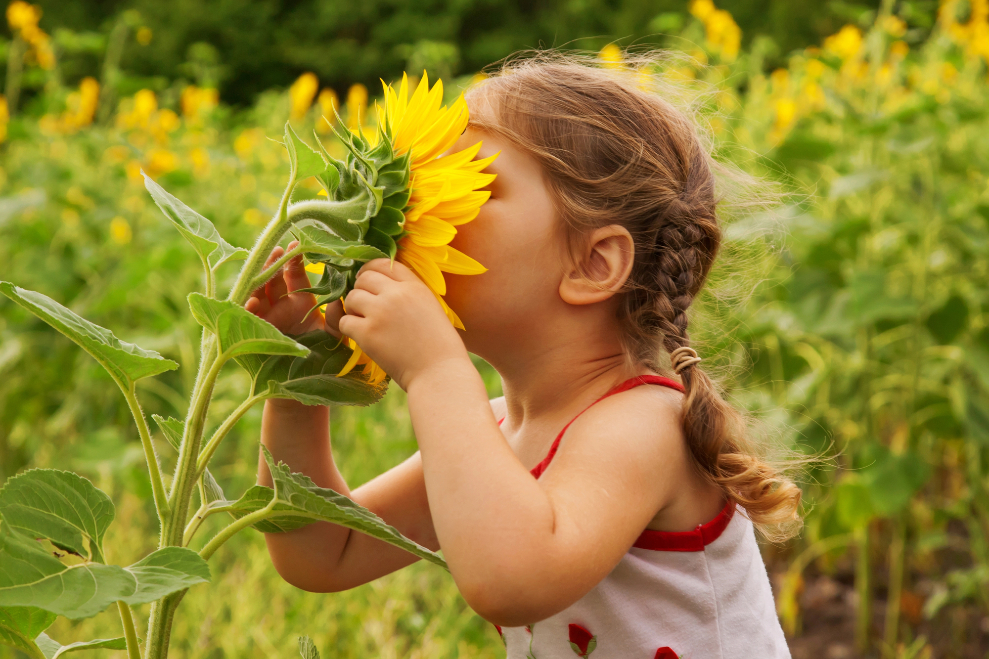 Gartengestaltung für Kinder