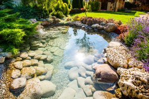 Teich im Garten